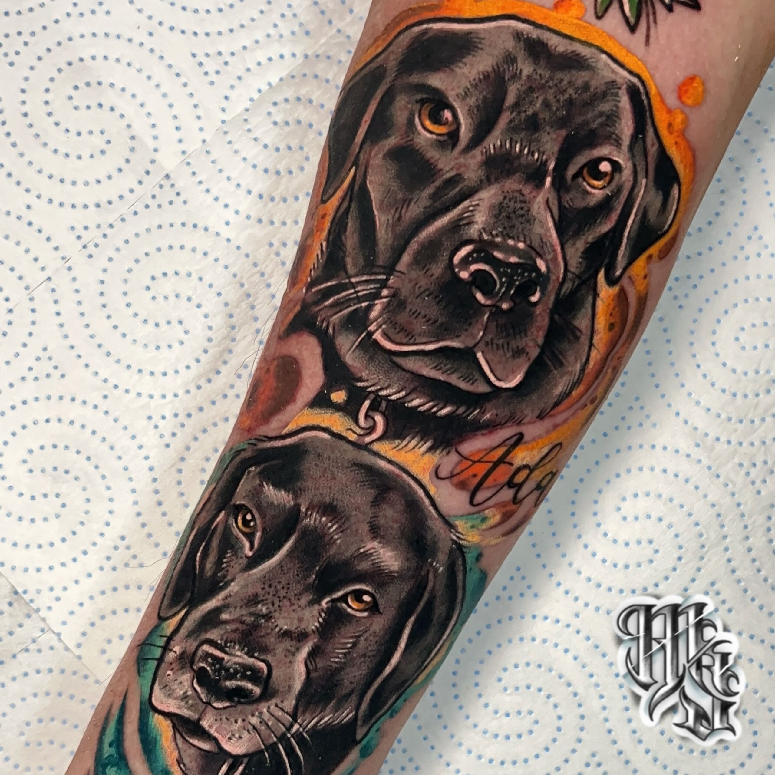 Tatuaje de dos perros labradores negros, a todo color realizado en estudio de tatuajes profesional en madrid, tatuate a tu mascota